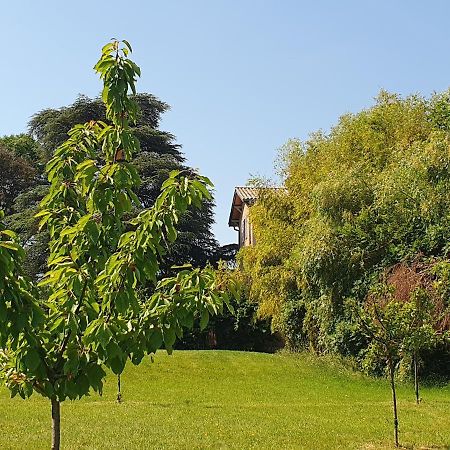 Douceurs Des Vignes Du Vivian Villa Denicé Exterior photo