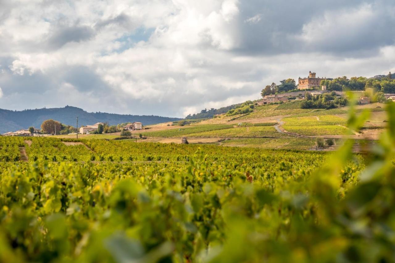 Douceurs Des Vignes Du Vivian Villa Denicé Exterior photo