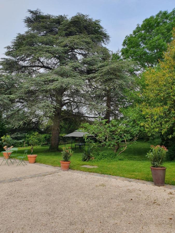 Douceurs Des Vignes Du Vivian Villa Denicé Exterior photo