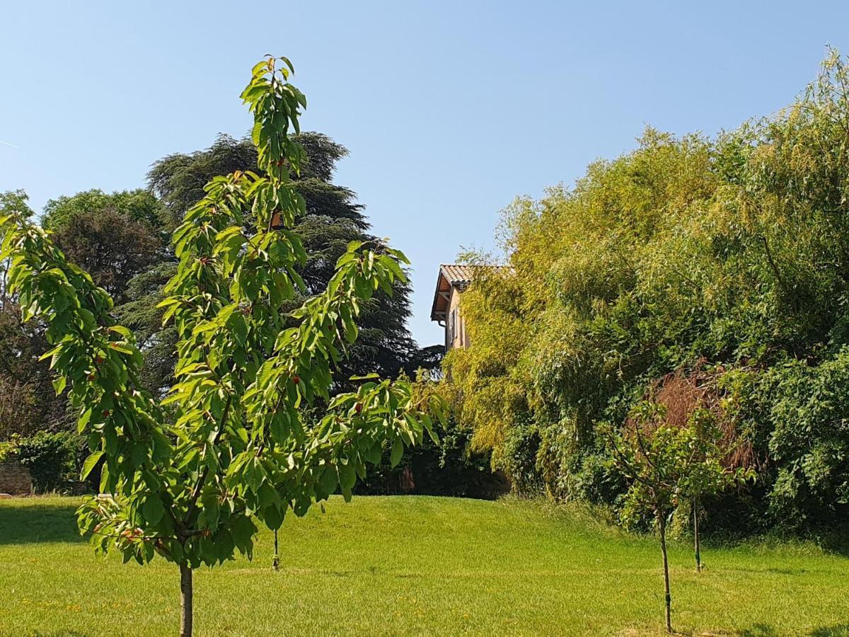 Douceurs Des Vignes Du Vivian Villa Denicé Exterior photo