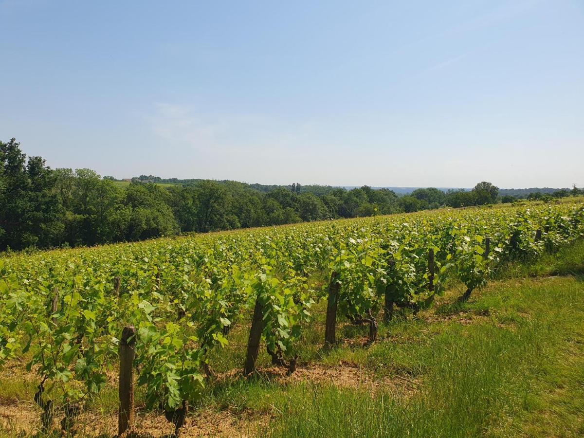 Douceurs Des Vignes Du Vivian Villa Denicé Exterior photo